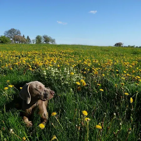 Διαμέρισμα Ostsee-bauernhof-hocke *